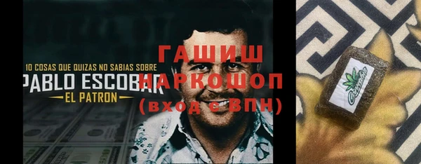 молекула духа Арсеньев