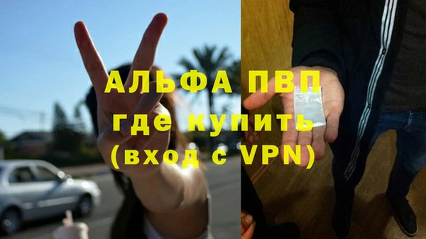 PSILOCYBIN Аркадак
