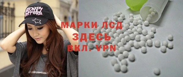 молекула духа Арсеньев