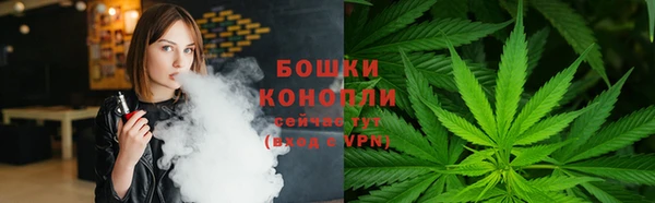 молекула духа Арсеньев