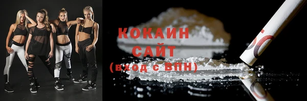 молекула духа Арсеньев