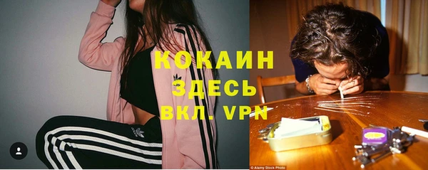 молекула духа Арсеньев