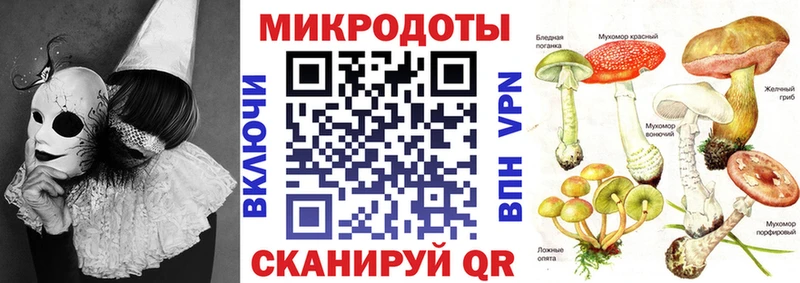 закладки  Фокино  Галлюциногенные грибы Cubensis 